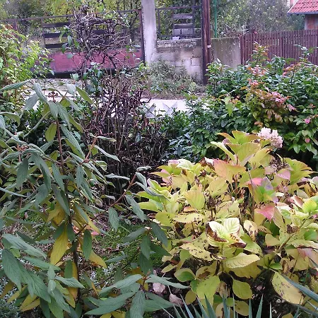 Vila Na Belom Bregu Bed & Breakfast