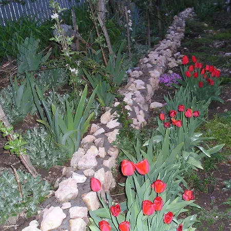 Vila Na Belom Bregu * Zajecar