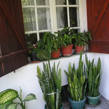 Vila Na Belom Bregu Bed & Breakfast Zajecar