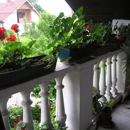 Vila Na Belom Bregu * Zajecar